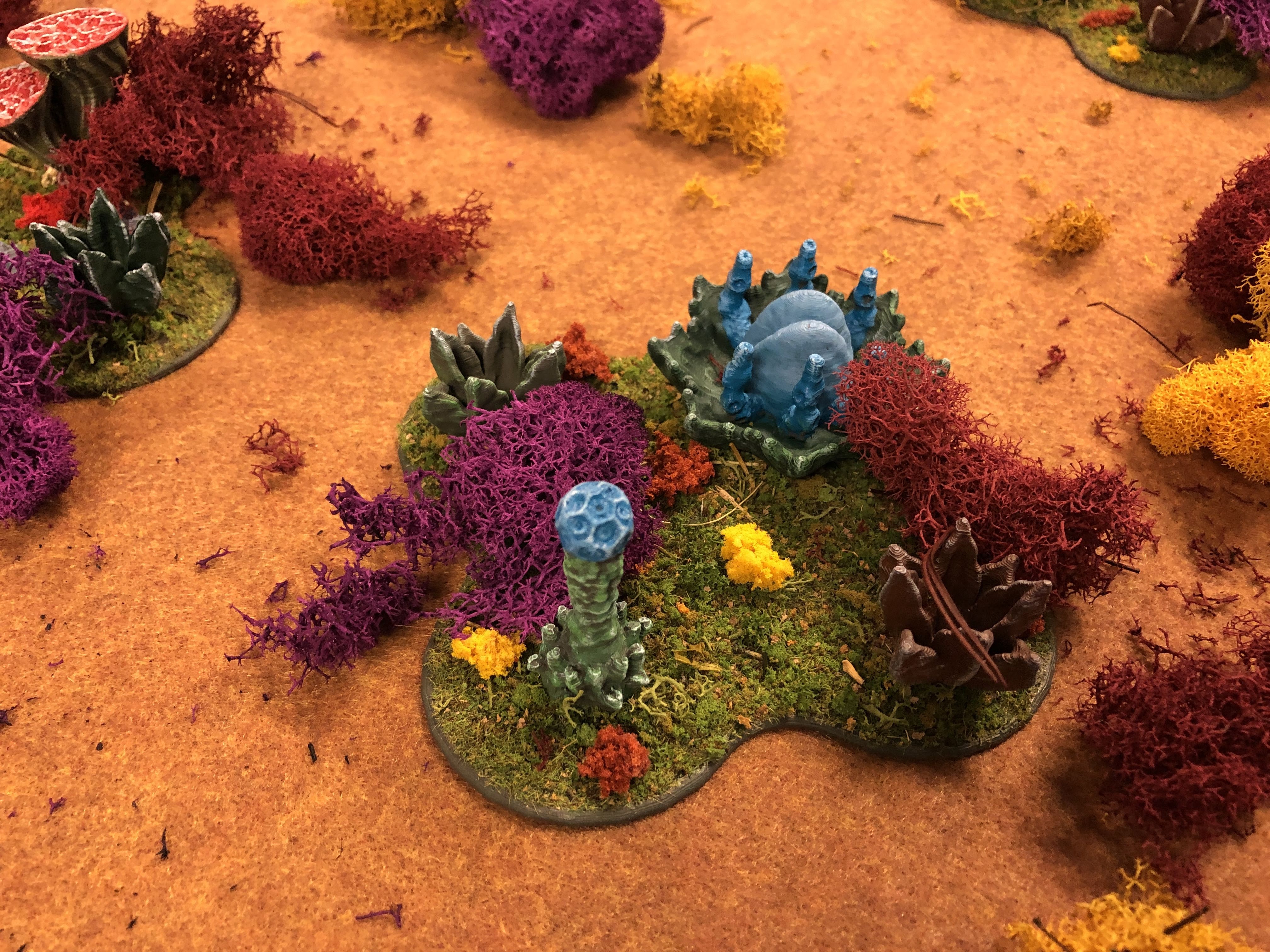Alien Plants – Trilaterum Miniatures