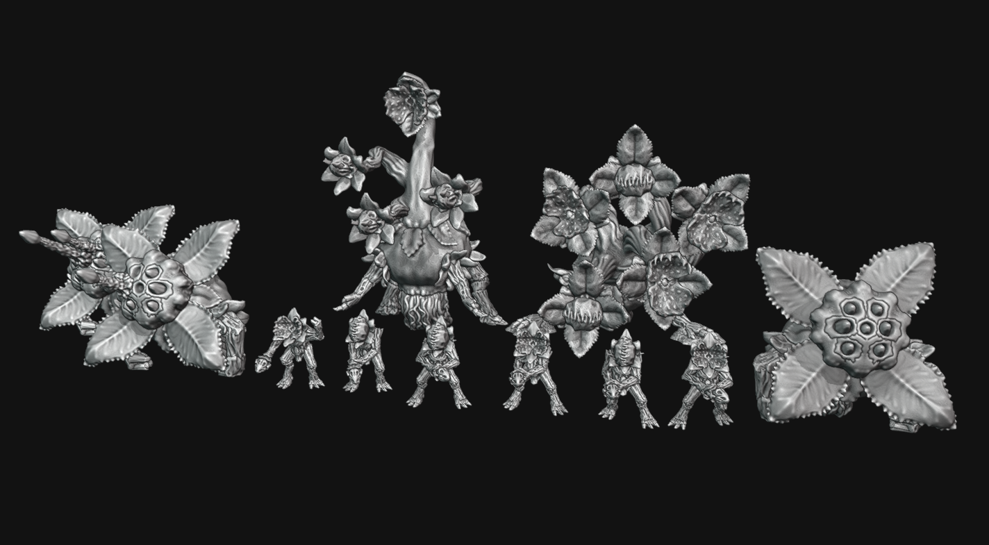 Trilaterum Dionaeid Primifloran